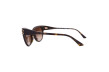 Сонцезахисні окуляри Jimmy Choo 5018U 500213