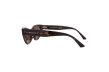 Сонцезахисні окуляри Jimmy Choo 5022B 500213